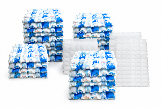 100 Techni Ice STD 2 PLY Disposable/ Minimum Reuse Dry Ice packs