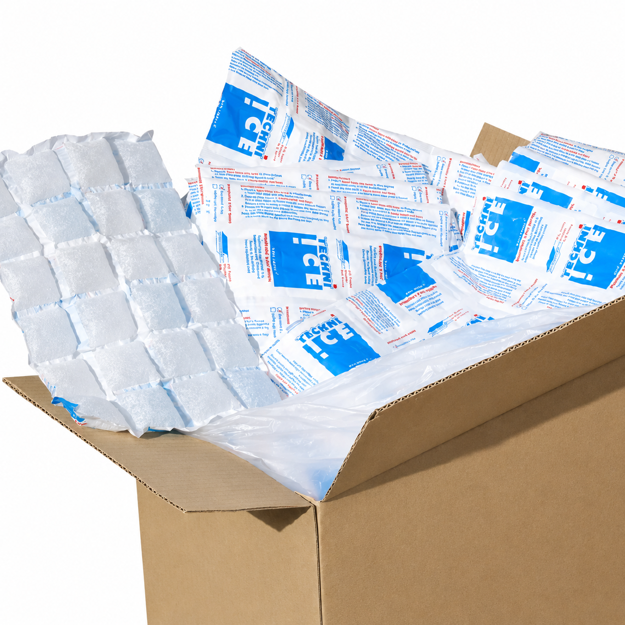428 (1 carton) Techni Ice STD 2 PLY Disposable Dry Ice packs