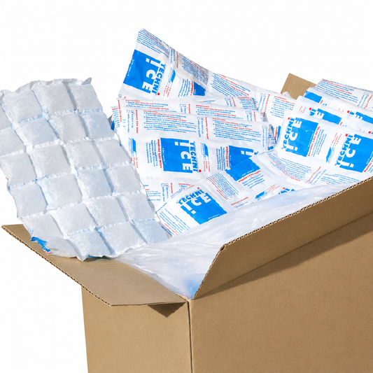 428 (1 carton) Techni Ice STD 2 PLY Disposable Dry Ice packs