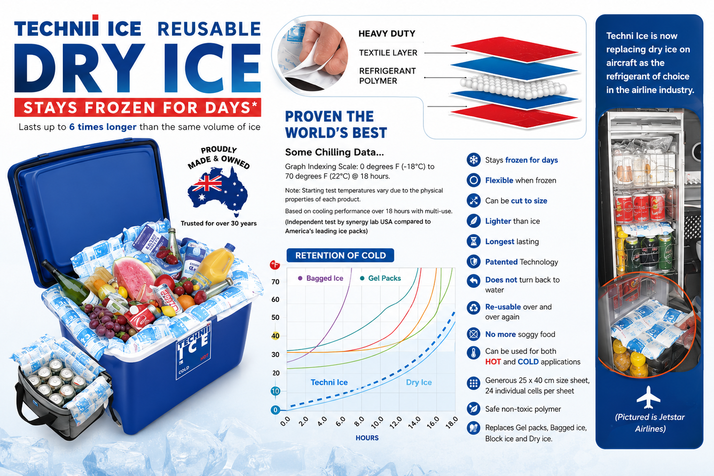 6 Techni Ice Heavy Duty Reusable Dry Ice packs