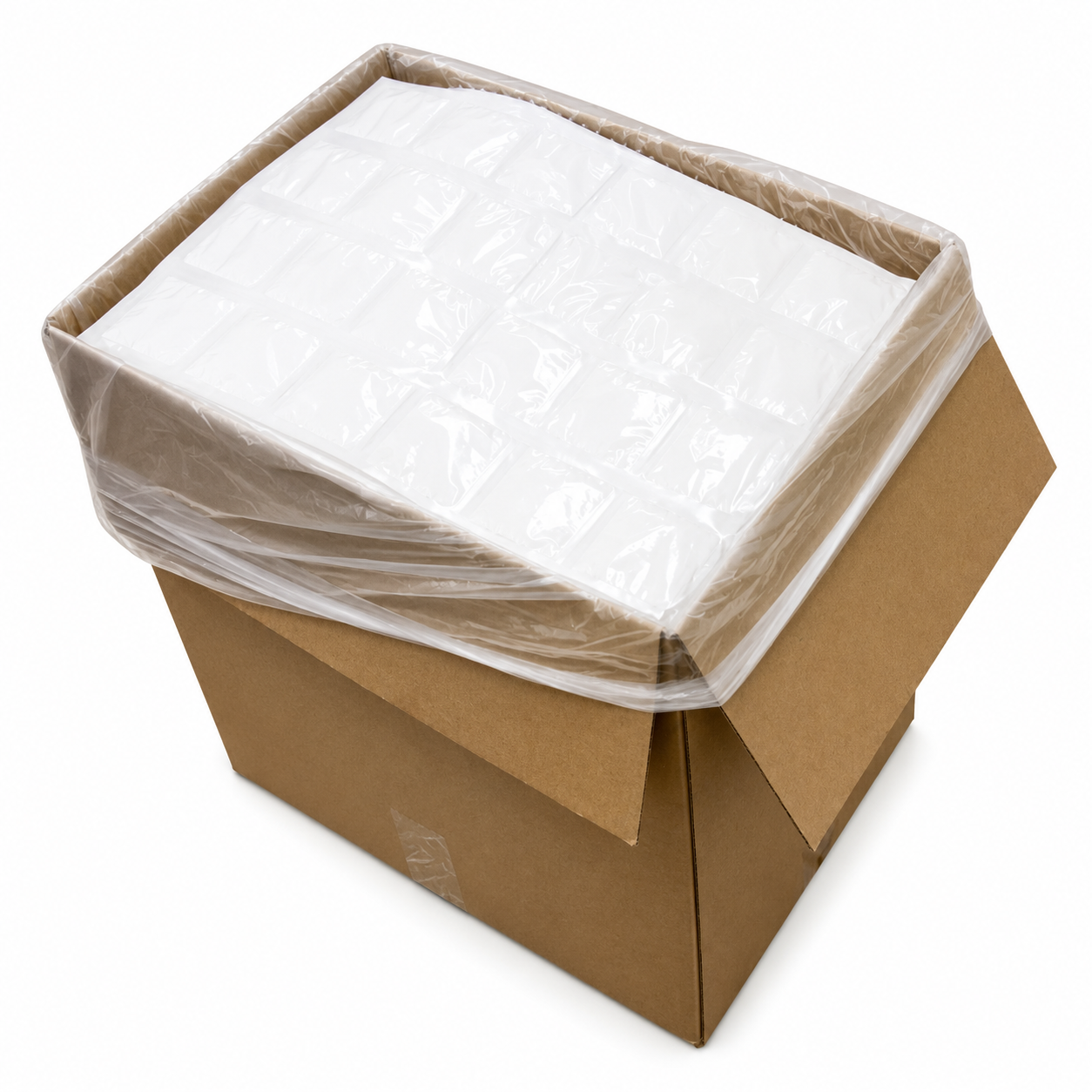428 (1 carton) Techni Ice STD 2 PLY Disposable Dry Ice packs